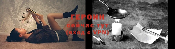 МДПВ Протвино
